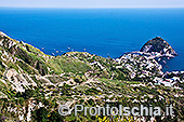 Il giro dell'isola d'Ischia di Giuseppe Orioli 0