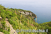 Il giro dell'isola d'Ischia di Giuseppe Orioli 11