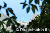 Escursioni a Ischia: dai Frassitelli a Crateca 71