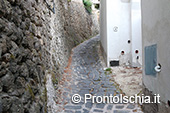 Escursione a Ischia Porto: dal Lago de' Bagni al Palazzo Reale 20