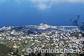 Ferragosto alla Falanga. Magia dell'isola d'Ischia 1