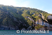 Il giro dell'isola d'Ischia via mare 93