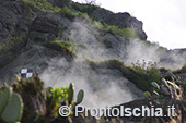 Ischia, Andar per sentieri 21