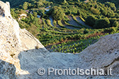 Escursioni a Ischia: tramonto al Monte Epomeo 46